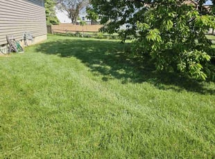 John S.'s lawn care services service result
