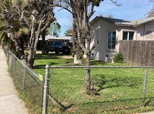 Shawnette I.'s turf care service result