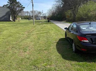 Paula R.'s lawn service service result