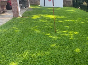 Lydia S.'s lawn care services service result