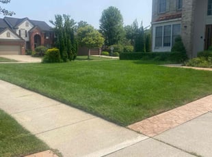 Lexus H.'s turf care service result
