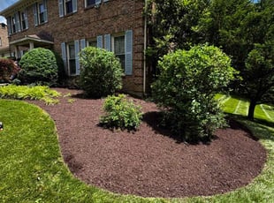 Carlos M.'s Mulching service result