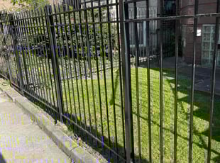 Titus R.'s grass cutting service result