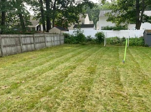 Kate B.'s grass cutting service result