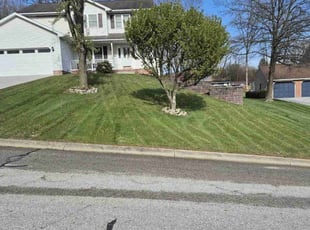Sarise Y.'s turf maintenance service result