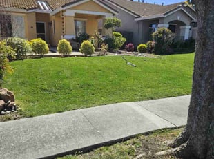 Jonika J.'s grass maintenance service result
