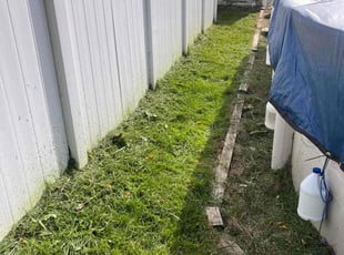Shertisa M.'s grass maintenance service result