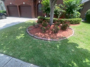 Judy S.'s turf care service result