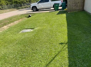 Louis P.'s lawn maintenance service result