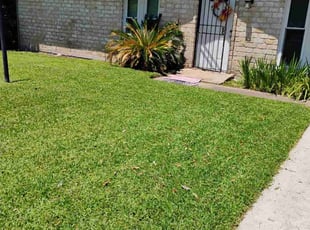 Ruth B.'s lawn maintenance service result