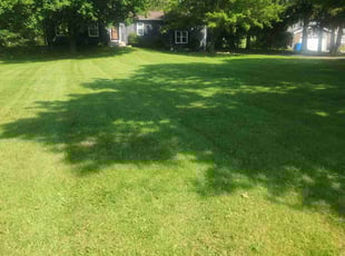 Cindi R.'s lawn care services service result