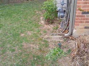 Dale W.'s Bush Trimming service result