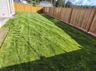 Cameron W.'s lawn maintenance service result