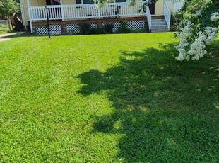 Aubrey M.'s turf maintenance service result