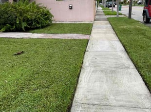 Marly C.'s lawn care service result
