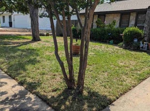 Victoria R.'s turf maintenance service result