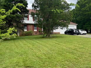 Akhil B.'s grass maintenance service result