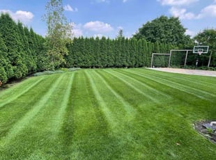 Kailani M.'s grass maintenance service result