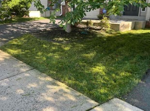 Angela P.'s lawn care services service result