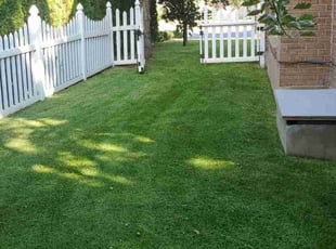 Kasy M.'s lawn service service result
