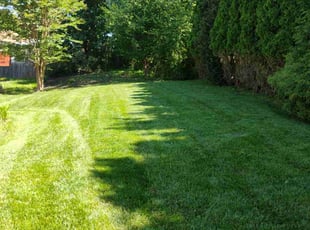 Subhajit G.'s lawn service service result