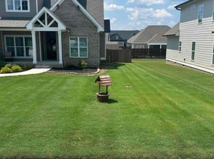 Tyrone H.'s turf maintenance service result