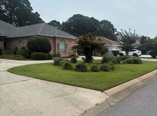 Chris C.'s lawn care service result
