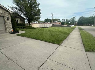 Vicki A.'s lawn maintenance service result