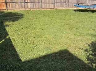 Latonya H.'s lawn service service result