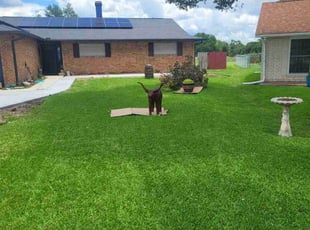 Britney G.'s grass maintenance service result