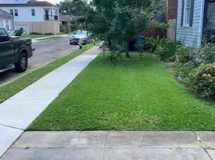 David G.'s grass cutting service result