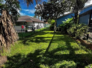 Dahka M.'s grass cutting service result