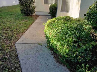 Jack B.'s grass cutting service result