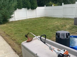 Mr B.'s lawn service service result
