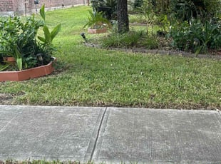 Susan D.'s lawn care services service result