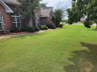 Erik M.'s lawn care service result