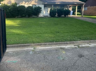 Lillian C.'s lawn maintenance service result