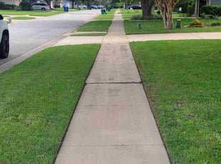 Patricia K.'s lawn service service result