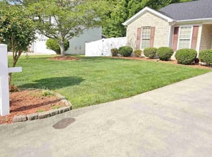 Broderick L.'s lawn service service result