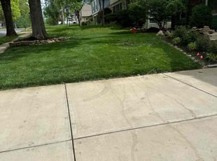 Daniel R.'s grass maintenance service result