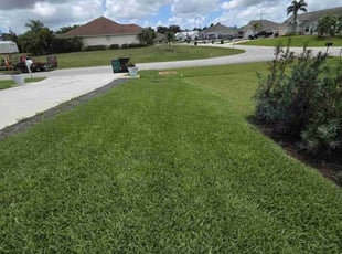 Angela M.'s lawn care service result