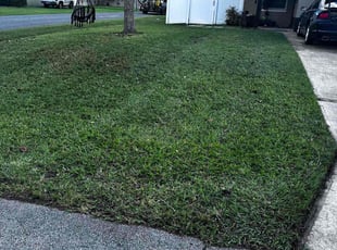 Stacey C.'s turf care service result