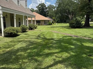 Shanteria W.'s lawn service service result