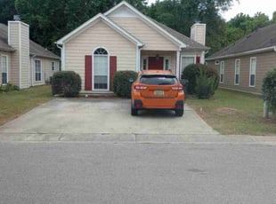 Michael B.'s turf care service result