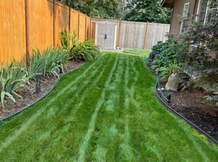 Kellie S.'s grass cutting service result
