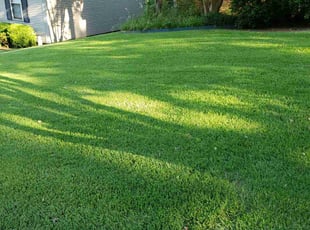 Janet P.'s lawn care services service result
