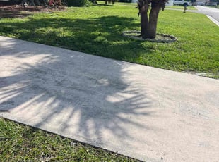 Kavell C.'s turf care service result