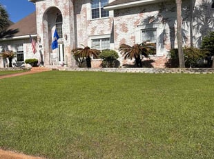 Eddy W.'s grass cutting service result