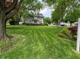 Ken H.'s turf care service result