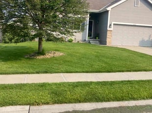 Nancy K.'s lawn maintenance service result